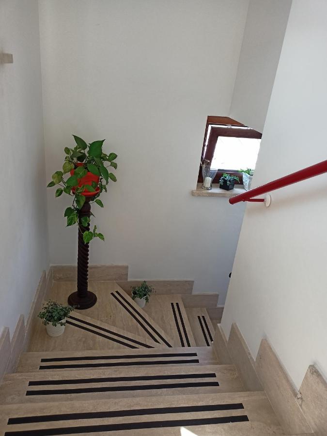 Il Faggio 17 B&B Artena Exterior foto
