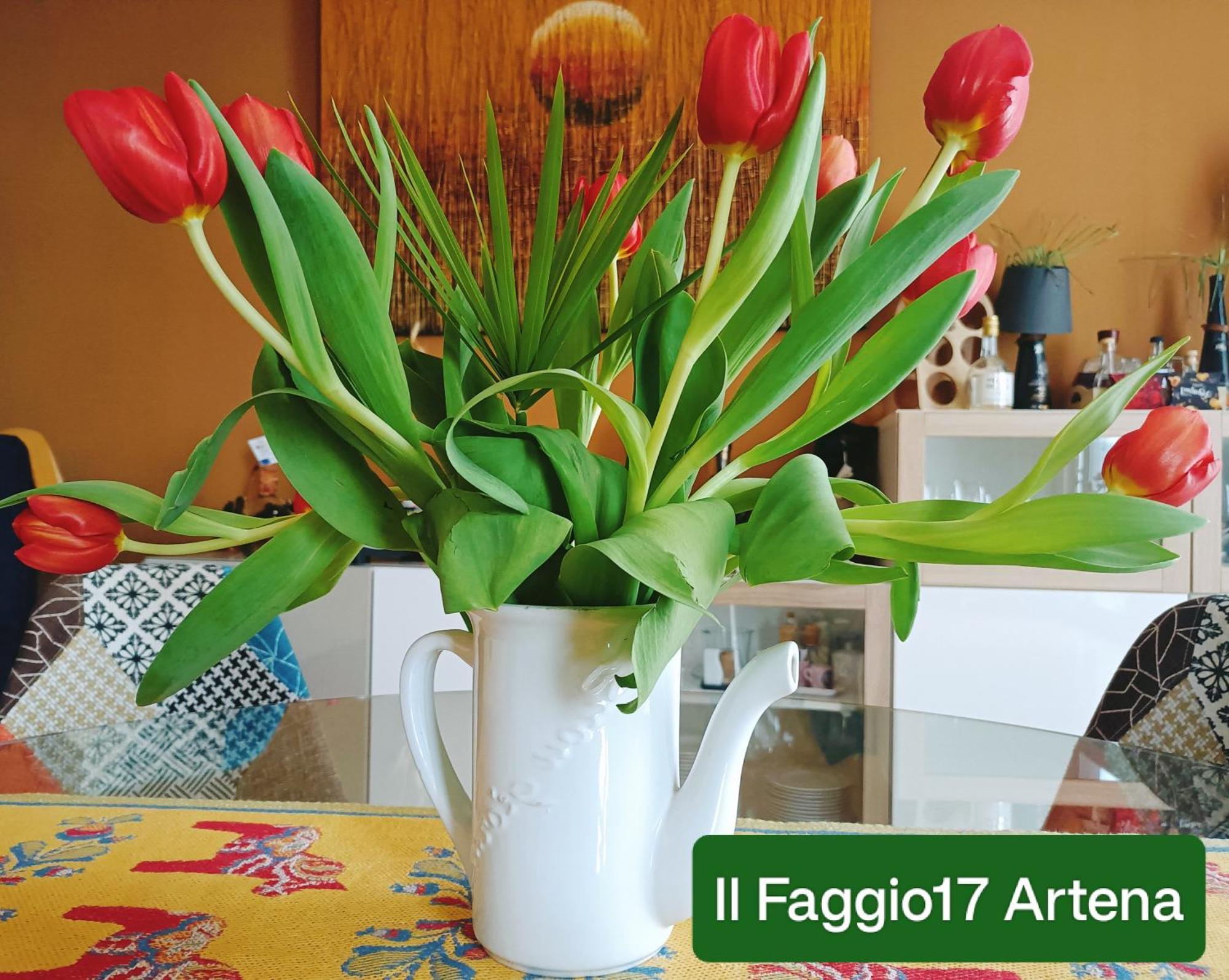 Il Faggio 17 B&B Artena Exterior foto